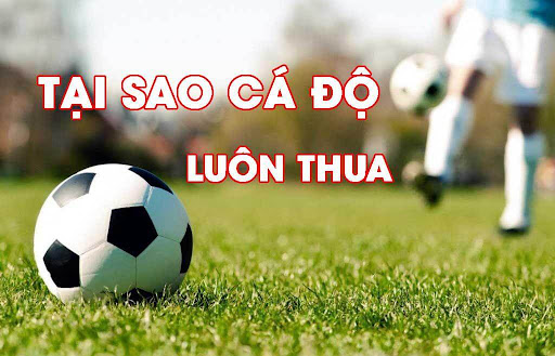 Có nhiều lý do dẫn đến việc cá cược bóng đá luôn thua