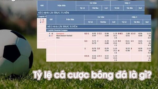 Tỷ lệ kèo nhà cái?