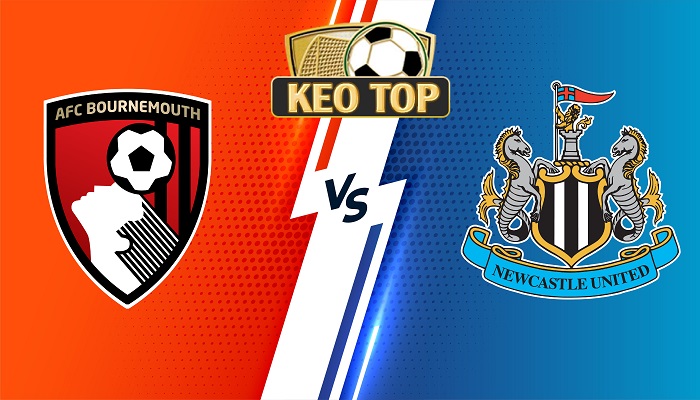 bournemouth-vs-newcastle